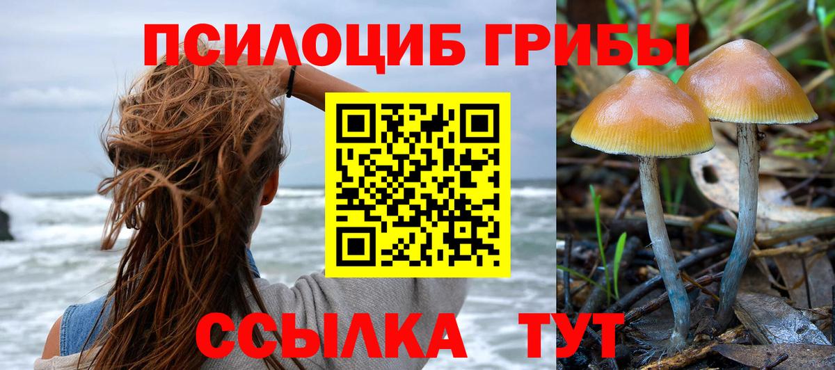 Галлюциногенные грибы Cubensis  где купить наркоту  Среднеуральск  Вход с VPN  Галлюциногенные грибы Magic Shrooms 